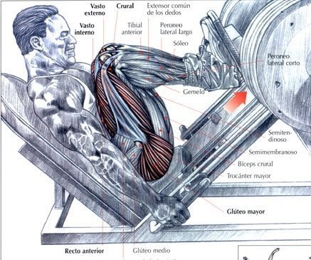 mejor entrenamiento para piernas