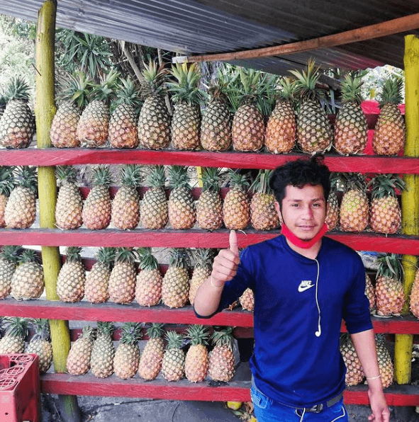 Las mejores frutas para perder grasa y definir piña