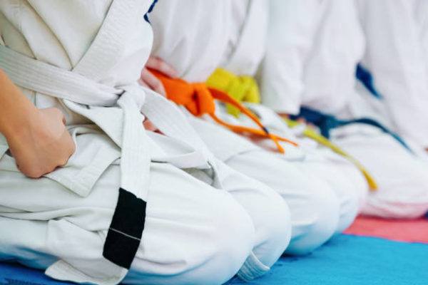 Karate que es normas los parecidos y diferencias con otros deportes de contacto 